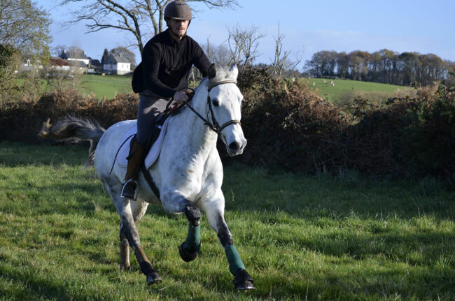 Cours équitation caudan